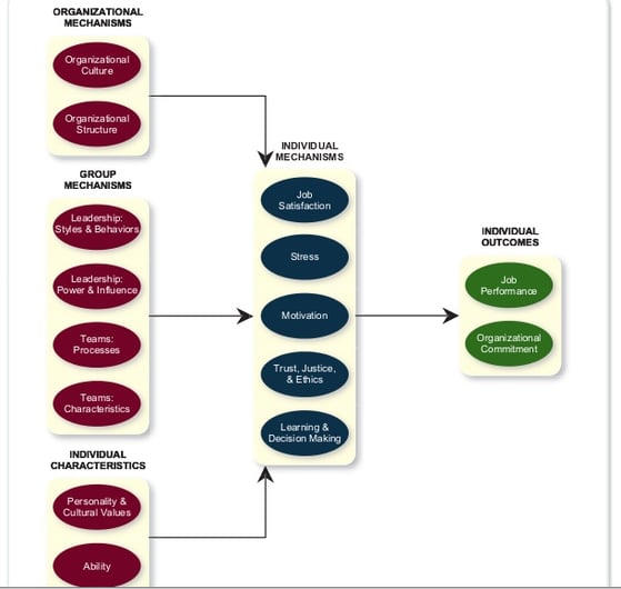 A high level view of all factors that influence organizational behavior